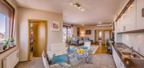 Budapest Top Apartment with Private 90 sqm Rooftop, Free Parking and Air Condition